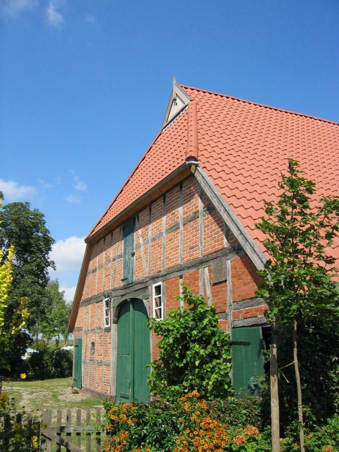 Ferienwohnung Am Elbdeich Bleckede Exterior photo